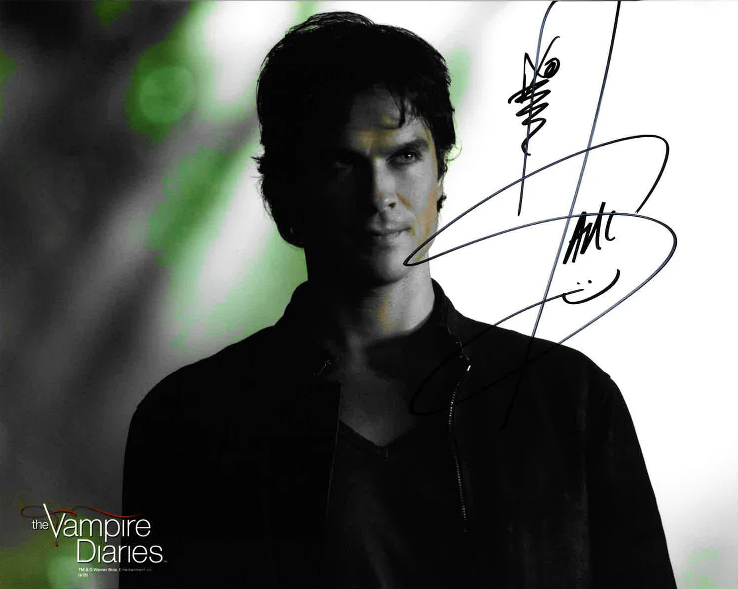THE VAMPIRE DIARIES